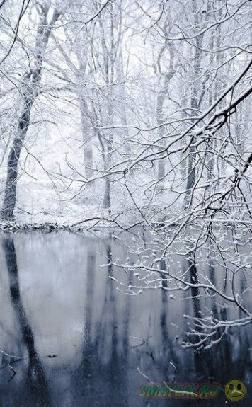 Красивая зима в фотографиях
