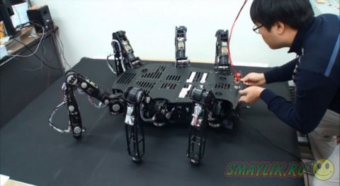 Специалисты из Южной Кореи создали огромного крабообразного робота - Crabster