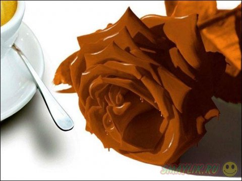 Любовь к шоколаду