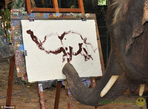Новоявленный импрессионист - слон Нопаккао