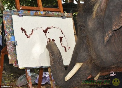 Новоявленный импрессионист - слон Нопаккао
