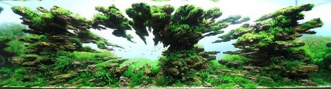Идеи подводного ландшафта в аквариуме