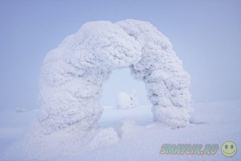 Удивительно красивые снежные скульптуры созданные природой