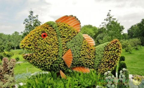 Произведения искусства из растений в Ботаническом саду Монреаля