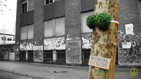 Смешные провокации уличного художника из Милана
