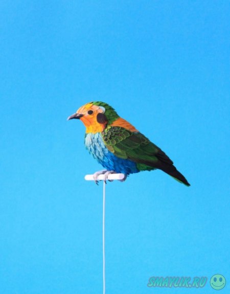 Невероятно реалистичные птички из бумаги, созданные колумбийской художницей