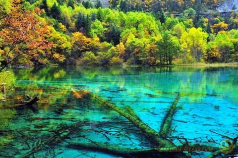Озеро «Пять цветов» -  самый красивый и загадочный водоём на планете