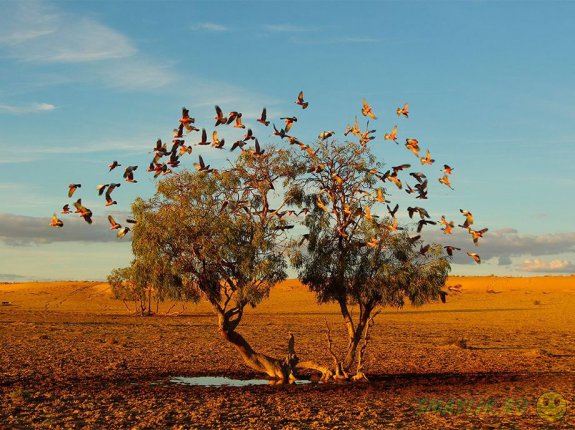 Лучшие фотографии октября от National Geographic