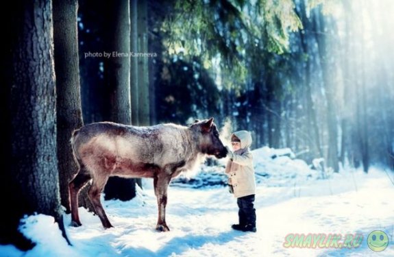 Волшебная зима в фотографиях Елены Карнеевой