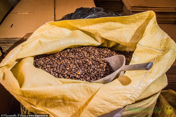 Кофе — одна из важнейших сельскохозяйственных культур Доминиканской Республики