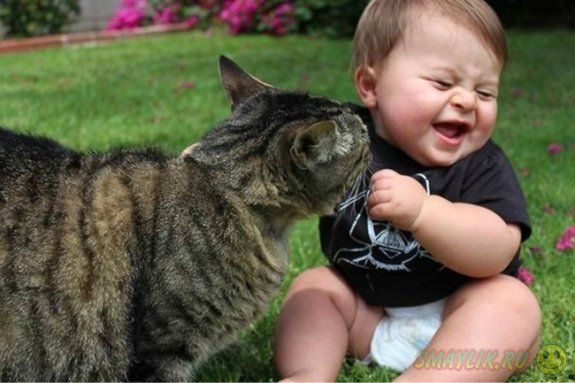 Коты - самые заботливые животные для детей