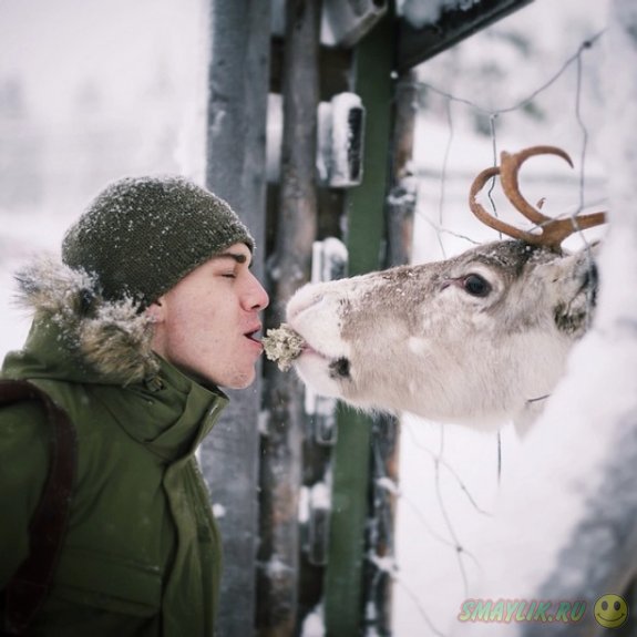 Удивительные снимки о дружбе фотографа с животными